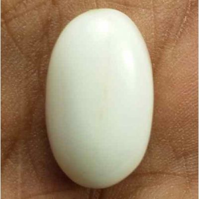 16.54 Carats Italian White Coral 18.50 x 11.08 x 8.47 mm