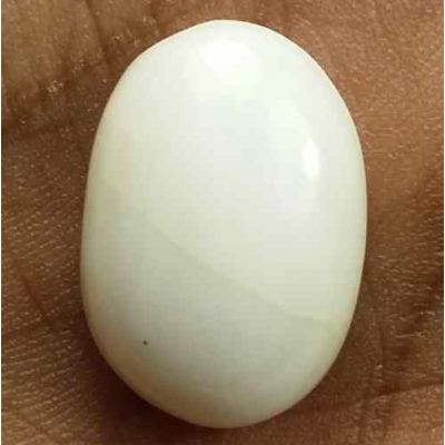 13.44 Carats Italian White Coral 18.61 x 13.03 x 6.58 mm