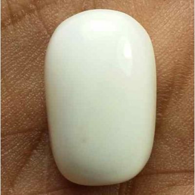 16.34 Carats Italian White Coral 17.36 x 11.33 x 8.43 mm