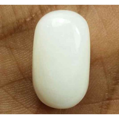 13.35 Carats Italian White Coral 17.49 x 10.35 x 7.38 mm