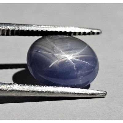 3.09 Carats Natural Bakawa Gray Star Sapphire 9.67x7.98x6.73 mm