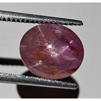 3.73 CARATS Natural Wine Red  Star Sapphire  8.80x7.75x5.1 mm