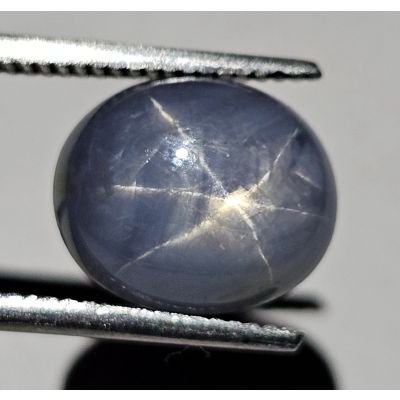 4.97 CARATS  Natural Independence Blue  Star Sapphire  10.12x8.45x5.35 mm