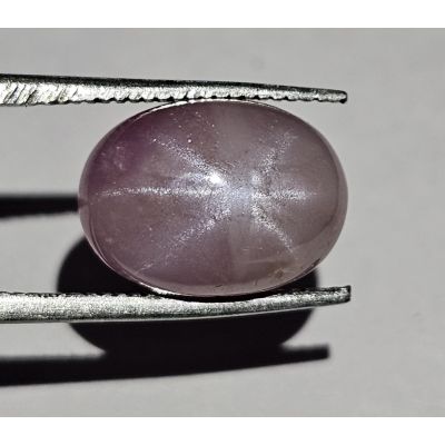 6.37 CARATS  Natural Mobster purple Star Sapphire  11.87x8.77x5.34 mm