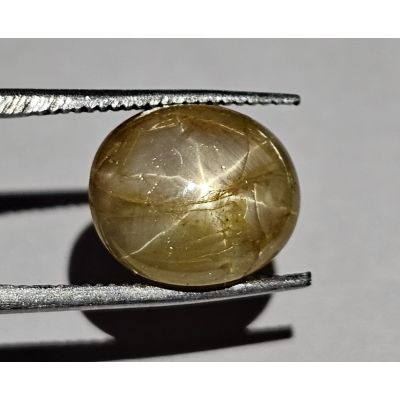 5.67 Carats Americano makara yellow   Natural Star Sapphire  10.72x9.34x5.12 mm