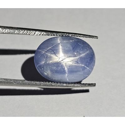 6.75 CARATS  Natural Ucla Blue Star Sapphire  13.27x9.89x4.65 mm