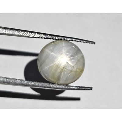 5.23 Carats Natural Cadet Gray Star Sapphire 10.39x9.77x4.73 mm