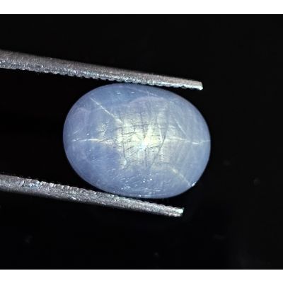 6.55 CARATS Natural Glaucous Blue Star Sapphire   12.09x9.07x5.23 mm