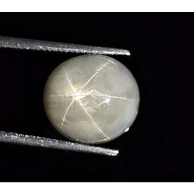 8.60 CARATS  Natural Gunsmoke Light Green  Star Sapphire  11.02x10.33x6.82 mm