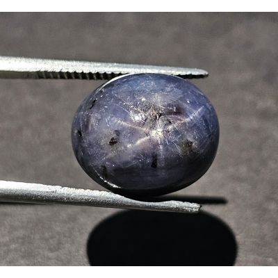 13.00 Carats Natural Steel Gray Star Sapphire 12.70 x 12.05 x 7.81 mm