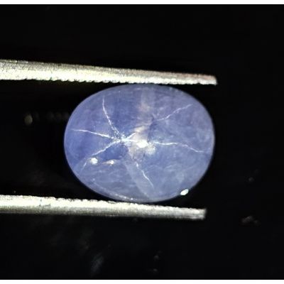 5.00 Carats Natural San Marino Blue Star Sapphire  9.81x8.90x6.45 mm