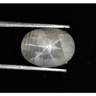 6.65 Carats  Natural Regant Gray Star Sapphire 11.55x9.80x4.80 mm