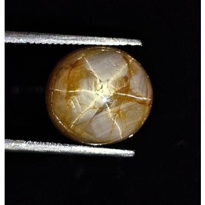 6.66 Carat Natural Pablo Copper Star Sapphire 9.37 x 8.36 x 5.31 mm