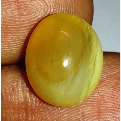 6.16 Carats Natural Chrysoberyl Opal Cat's Eye 13.10 x 10.90 x 8.00 mm