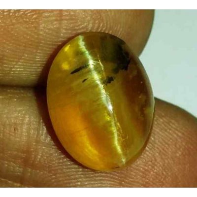 7.51 Carats Natural Chrysoberyl Opal Cat's Eye 14.09 x 10.72 x 9.08 mm