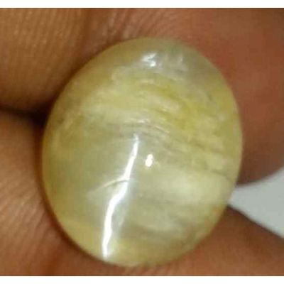 7.53 Carat Natural Chrysoberyl Opal Cat's Eye 14.41 x 12.48 x 8.23 mm