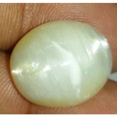 12.79 Carat Natural Chrysoberyl Opal Cat's Eye 16.77 x 14.37 x 9.42 mm
