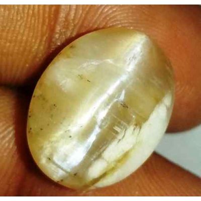 12.85 Carat Natural Chrysoberyl Opal Cat's Eye 16.84 x 13.09 x 9.57 mm
