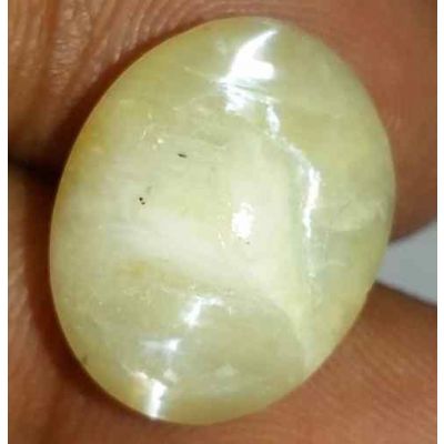 12.37 Carat Natural Chrysoberyl Opal Cat's Eye 16.80 x 13.22 x 10.10 mm