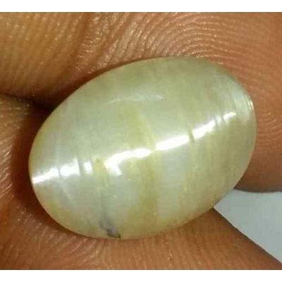 2.62 Carat Natural Chrysoberyl Opal Cat's Eye 14.19 x 10.22 x 8.25 mm
