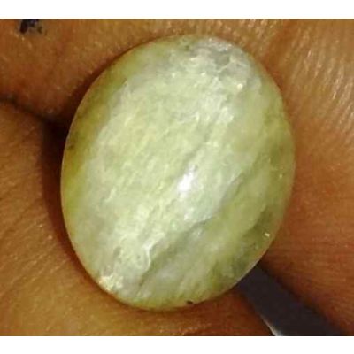 5.26 Carat Natural Chrysoberyl Opal Cat's Eye 13.00 x 10.46 x 7.00 mm