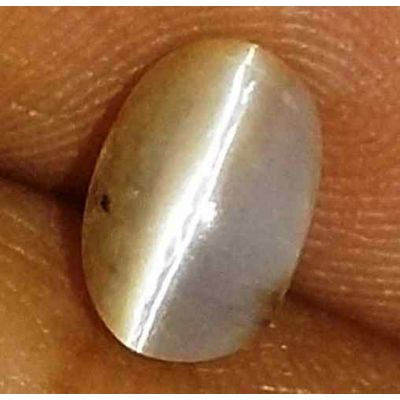 1.11 Carat Natural Chrysoberyl Opal Cat's Eye 7.79 x 5.07 x 4.69 mm