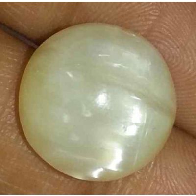 9.45 Carat Natural Chrysoberyl Opal Cat's Eye 14.11 x 14.08 x 8.12 mm