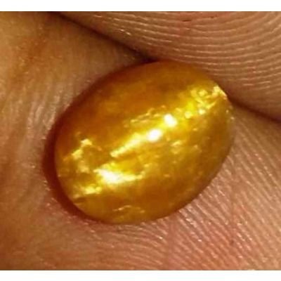 1.97 Carat Yellowish Brown  Kanak Khet Chrysoberyl Cat's Eye 9.62 x 6.25 x 5.33 mm
