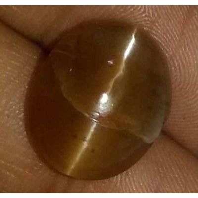 7.99 Carat Natural Chrysoberyl Opal Cat's Eye 14.85 x 12.14 x 8.47 mm