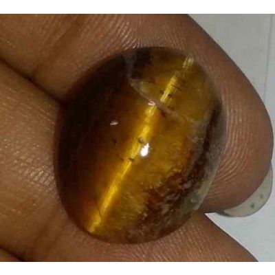 12.58 Carat Natural Chrysoberyl Opal Cat's Eye 17.51 x 13.82 x 9.29 mm