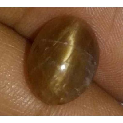 3.59 Carat Natural Chrysoberyl Opal Cat's Eye 11.76 x 8.76 x 6.81 mm