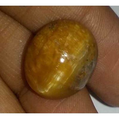 10.87 Carat Natural Chrysoberyl Opal Cat's Eye 15.90 x 13.53 x 8.27 mm