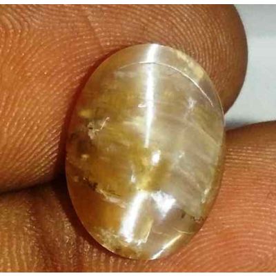 6.22 Carat Natural Chrysoberyl Opal Cat's Eye 20.19 x 10.70 x 7.12 mm
