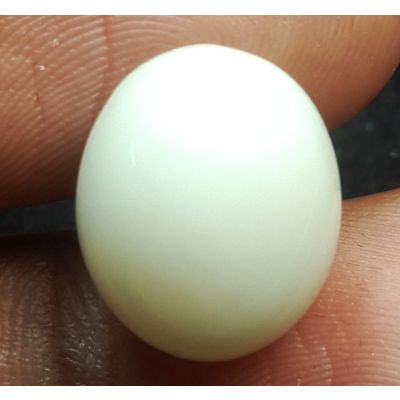 8.80 Carats Natural White Moonstone 13.77 x 11.44 x 7.51 mm