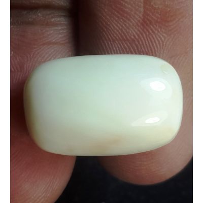 15.92 Carats Natural Milky White Coral 17.18 x 10.86 x 9.57 mm