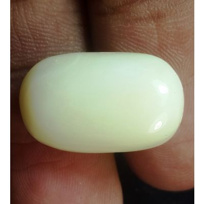 17.30 Carats Natural Milky White Coral 18.91 x 11.76 x 8.69 mm
