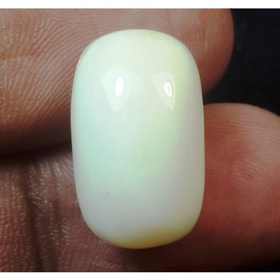 15.47 Carats Natural Milky White Coral 17.64 x 10.79 x 9.48 mm