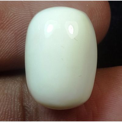16.69 Carats Natural Milky White Coral 16.34 x 11.68 x 10.80 mm