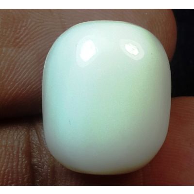 20.57 Carats Natural Milky White Coral 15.83 x 13.33 x 9.69 mm