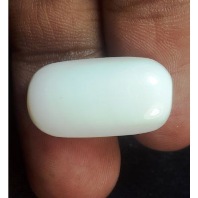 18.91 Carats Natural Milky White Coral 21.23 x 11.46 x 7.42 mm