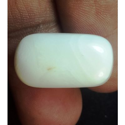 19.38 Carats Natural Milky White Coral 20.82 x 11.57 x 7.85 mm