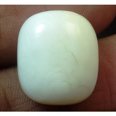 18.69 Carats Natural Milky White Coral 16.23 x 13.97 x 8.22 mm