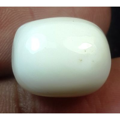 16.70 Carats Natural Milky White Coral 14.68 x 11.85 x 9.99 mm