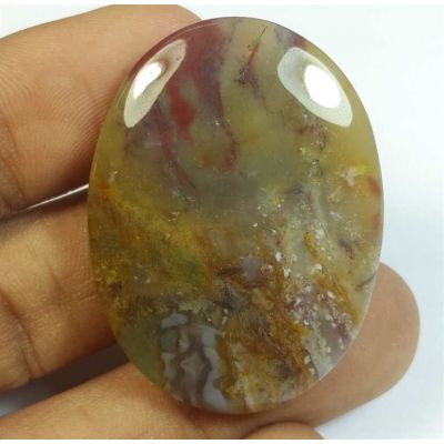 63.20 Carats Natural Red+Green Blood Stone 38.50 x 28.58 x 6.72 mm