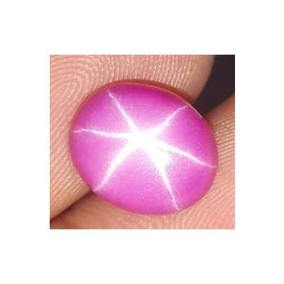 3.76 Carats Star Ruby 9.42 x 7.71 x 3.91 mm