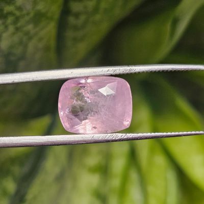 6.00 Carats Natural Pink Sapphire 12.00 x 8.77 x 5.57 mm