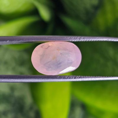 6.00 Carats Clam Shell Natural Sapphire 12.70 X 8.00 X 5.45 mm