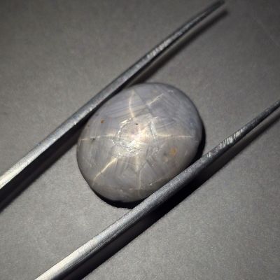 29.31 Carats Natural Sail Star Sapphire 19.86 x 15.83 x 8.32 mm