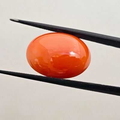 24.24 Carat Natural Japanese Orangish Red Coral 22.25x16.58 x 9.37 mm