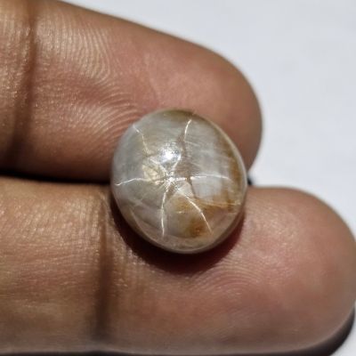 12.13 carats Natural Roman Coffee Sapphire 13.04x11.66x7.16mm